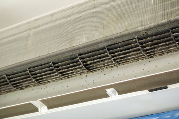 Best Air Duct Cleaning Near Me  in Lealman, FL